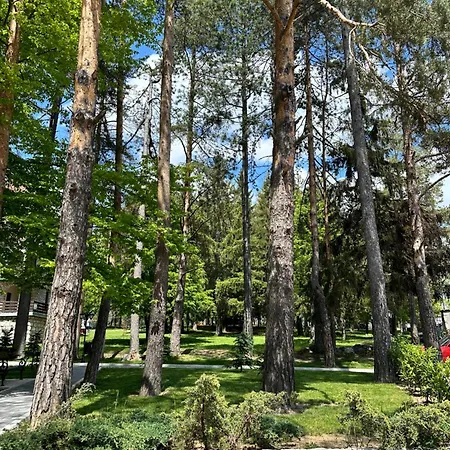 Njegos Lux Titova Apartment *