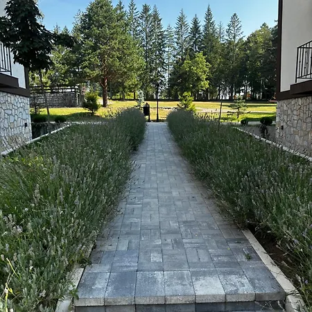 Njegos Lux Titova Palisat