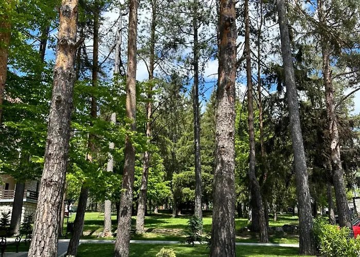 Njegos Lux Titova Апартаменты *